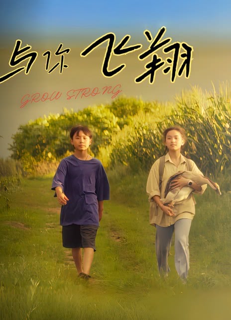 姜大卫导演电视剧与你飞翔