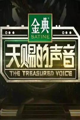 汪小敏新综艺天赐的声音第一季
