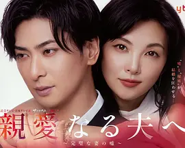 2026最新电视剧致亲爱的丈夫~完美妻子的谎言~