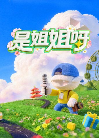中国大陆综艺是姐姐呀