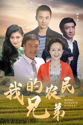 王大鹏 Dapeng Wang导演电视剧我的农民兄弟