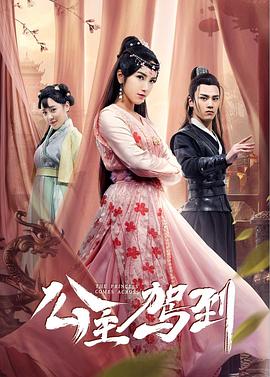 连春利导演电视剧公主驾到2019
