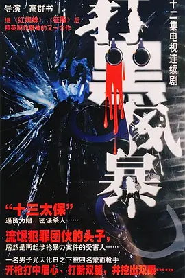 苏宝成导演电视剧打黑风暴